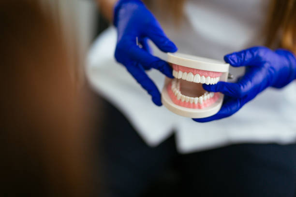 Professional Holistic Dental Care Services in Drexel, OH